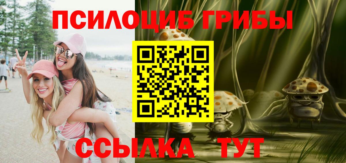 Псилоцибиновые грибы MAGIC MUSHROOMS  Вход с VPN  Шелехов 